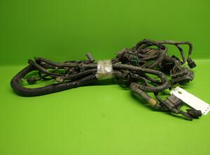 Wiring Harness FORD Ranger (TKE)