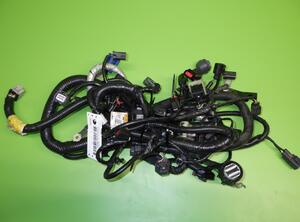 Wiring Harness FORD Mondeo V Stufenheck (CD)