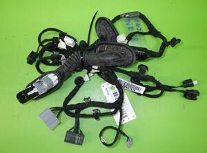 Wiring Harness FORD Kuga III (DFK)