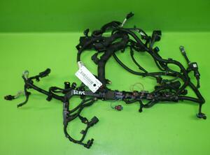 Wiring Harness ALFA ROMEO Stelvio (949)