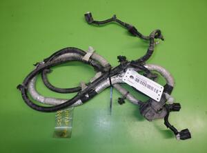 Wiring Harness FORD Kuga III (DFK)