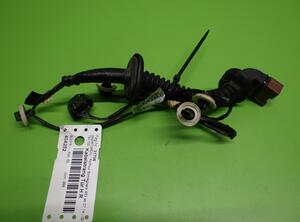 Wiring Harness SMART Forfour Schrägheck (453)