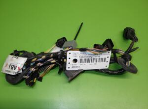 Wiring Harness FORD Focus (DAW, DBW)