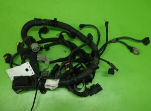 Wiring Harness FIAT Grande Punto (199)