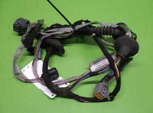 Wiring Harness VOLVO V70 II (285), VOLVO XC70 CROSS COUNTRY (295)