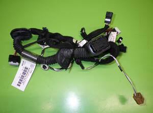 Wiring Harness RENAULT CAPTUR I (J5_, H5_), RENAULT CLIO IV (BH_)