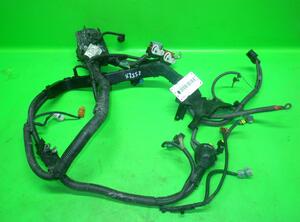 Wiring Harness FORD FIESTA VI (CB1, CCN)