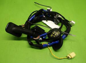 Wiring Harness KIA EV6 (CV)