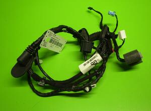 Wiring Harness JAGUAR XF (X250)