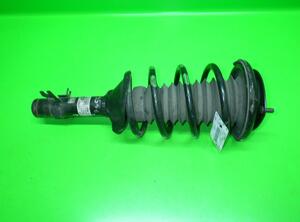 Suspension Strut ROVER 25 Schrägheck (RF)