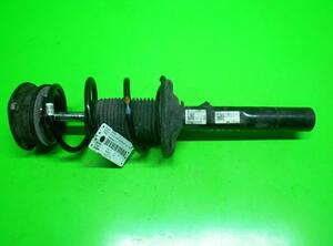 Suspension Strut SKODA Octavia III Combi (500000, 5000000)