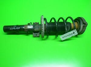 Suspension Strut SKODA Roomster (5J)