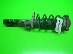 Suspension Strut SKODA Roomster (5J)