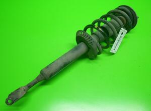 Suspension Strut AUDI A4 (8D2, B5), AUDI A4 Avant (8D5, B5)