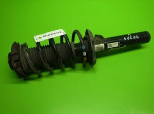 Suspension Strut VW Tiguan (5N)