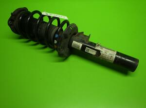 Suspension Strut VW Tiguan (5N)