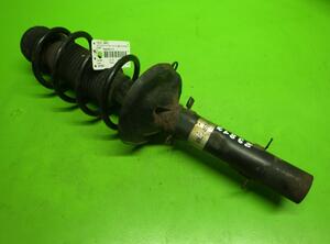 Suspension Strut VW Golf IV (1J1)