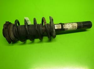 Suspension Strut VW Touran (1T1, 1T2), VW Touran (1T3)