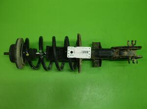 Suspension Strut VW Transporter V Kasten (7EA, 7EH, 7HA, 7HH), VW Transporter VI Kasten (SGA, SGH, SHA, SHH)