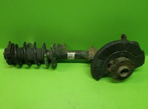 Suspension Strut AUDI A3 (8P1), AUDI A3 Sportback (8PA)