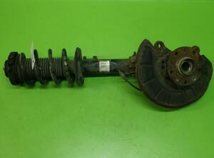 Suspension Strut AUDI A3 (8P1), AUDI A3 Sportback (8PA)