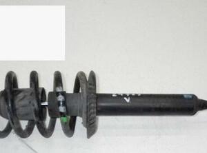 Shock Absorber AUDI A6 (4B2, C5)