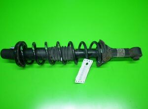 Shock Absorber ROVER 25 Schrägheck (RF)