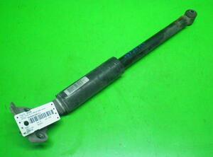 Shock Absorber FIAT Grande Punto (199), FIAT Punto (199), FIAT Punto Evo (199)