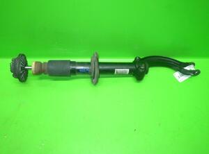 Shock Absorber AUDI A4 Avant (8K5, B8)