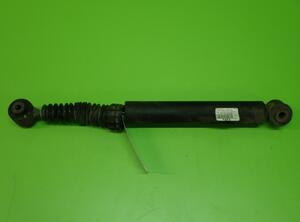 Shock Absorber FORD Focus Stufenheck (DFW)