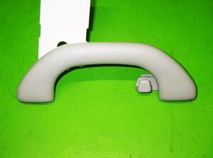 Grab Handle VW GOLF PLUS (5M1, 521)