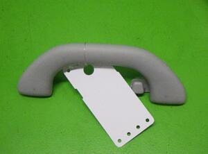 Grab Handle VW GOLF PLUS (5M1, 521)