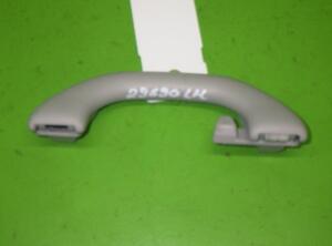 Grab Handle VW GOLF V (1K1), VW GOLF VI (5K1), VW PASSAT (3C2)