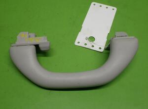 Grab Handle VW GOLF V (1K1), VW GOLF VI (5K1)