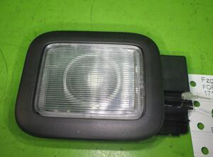 Interieurverlichting FORD Kuga III (DFK)