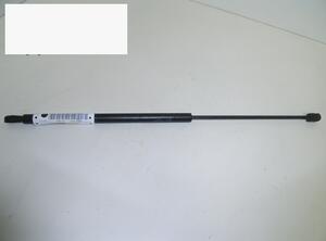 Gas Spring CITROËN ZX (N2)