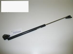 Gas Spring PEUGEOT 406 (8B)