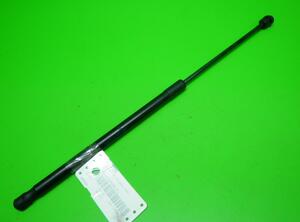 Gas Spring FORD Fiesta VI (CB1, CCN)