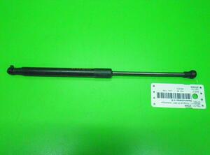 Gas Spring RENAULT Twingo II (CN0)