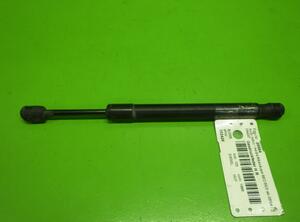 Gas Spring AUDI A4 (8EC, B7)