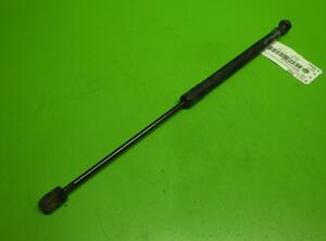 Gas Spring AUDI A6 Avant (4F5, C6)