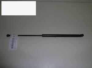 Gas Spring AUDI A3 (8L1)