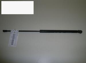 Gas Spring AUDI A3 (8L1)