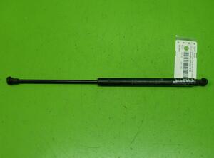 Gas Spring FIAT Grande Punto (199), FIAT Punto Evo (199)