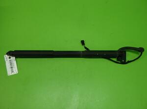 Gas Spring BMW 3er Touring (F31)