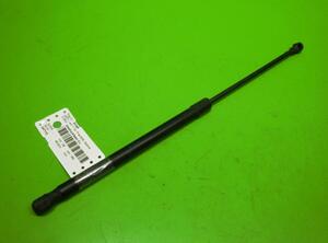 Gas Spring SEAT LEON (1P1)