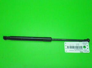 Gas Spring RENAULT TWINGO II (CN0_)