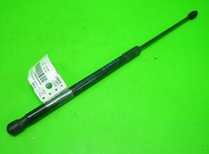 Gas Spring VW POLO (6R1, 6C1)