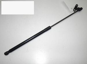 Gas Spring FORD FIESTA VI (CB1, CCN)