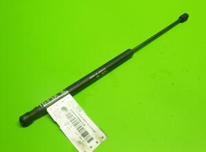 Gas Spring FIAT PUNTO (188_), FIAT PUNTO Hatchback Van (188_), FIAT PUNTO Convertible (176_)